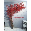 درخت شکوفه یلدایی